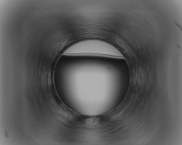 X0000092070700200709121026