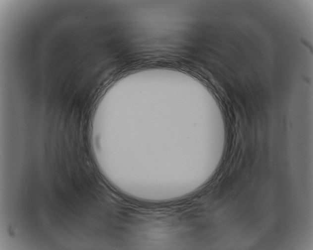 X0000092070701200709121026