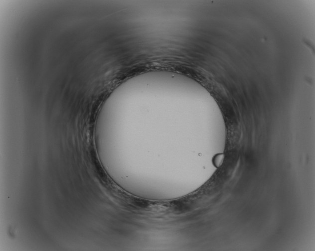 X0000092070703200709121026