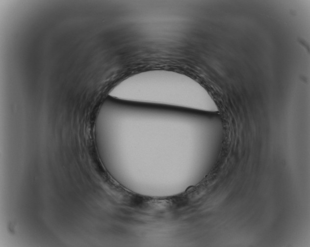 X0000092070711200709121026