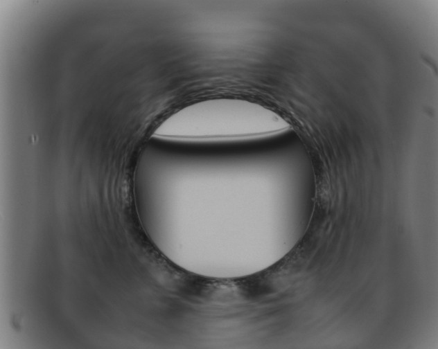 X0000092070715200709121026