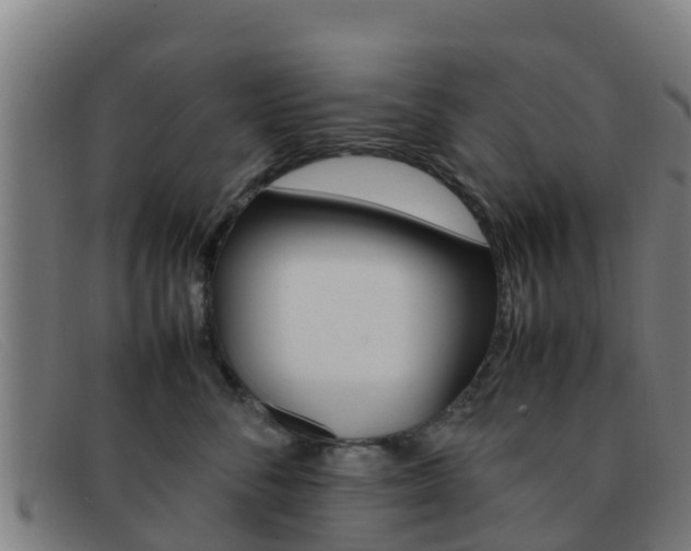 X0000092070716200709121026