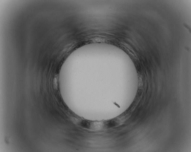 X0000092070717200709121026