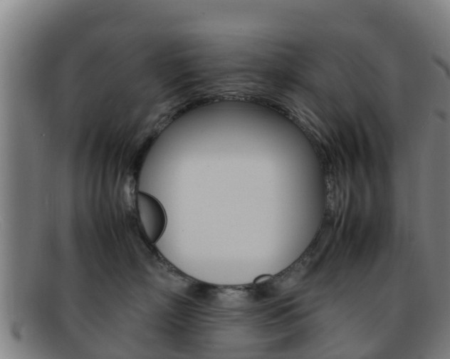 X0000092070718200709121026