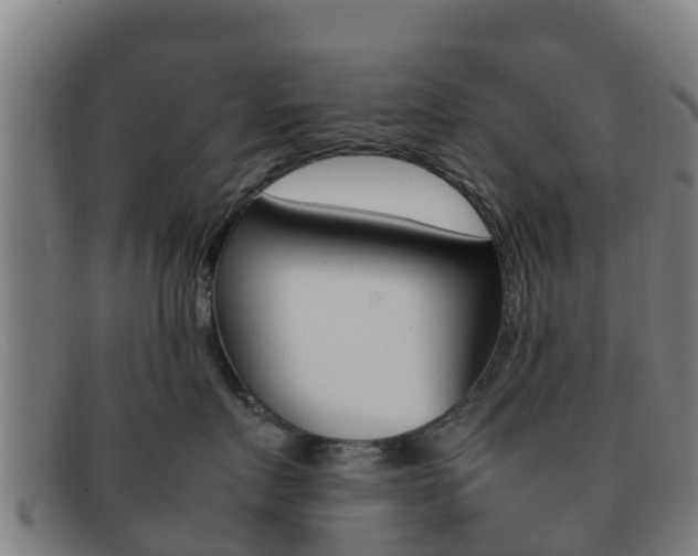 X0000092070719200709121026