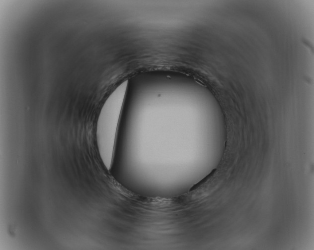 X0000092070720200709121026