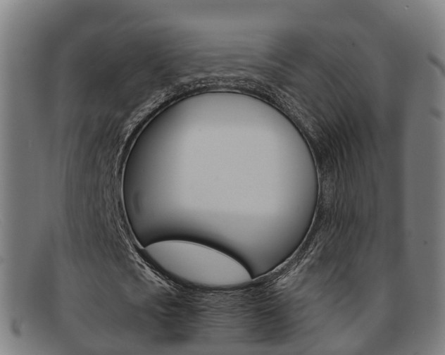 X0000092070721200709121025