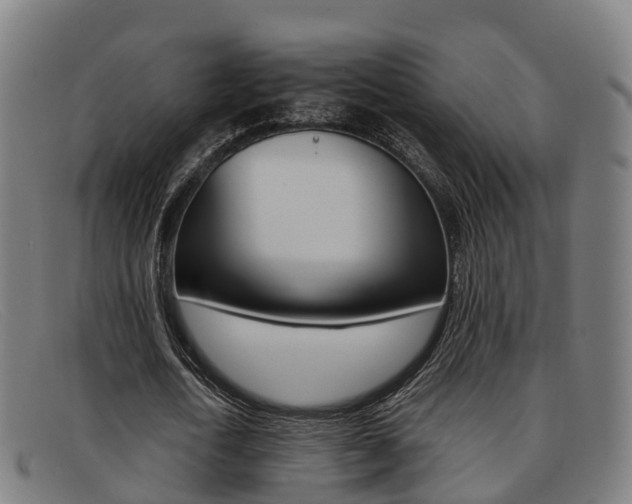 X0000092070722200709121025