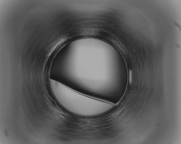 X0000092070723200709121025