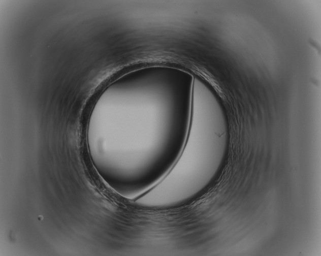 X0000092070724200709121025
