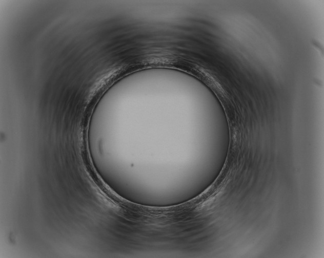 X0000092070725200709121025