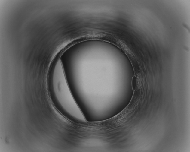 X0000092070726200709121025