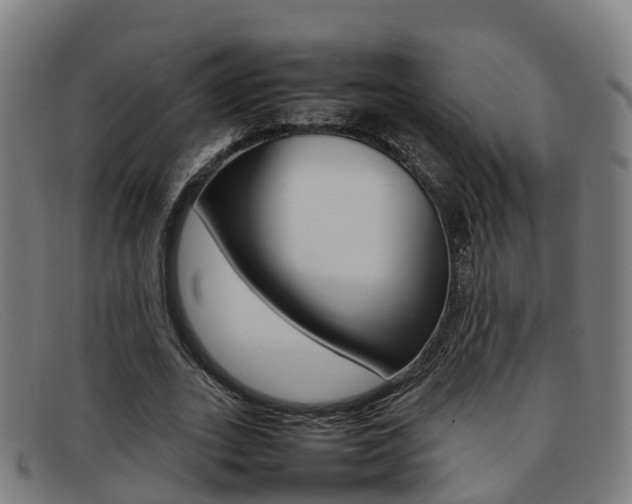 X0000092070727200709121025