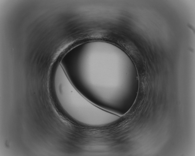 X0000092070728200709121025