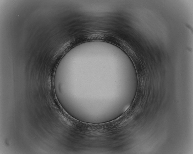 X0000092070729200709121025
