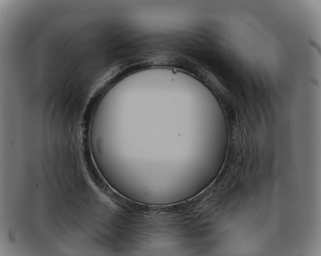 X0000092070730200709121025