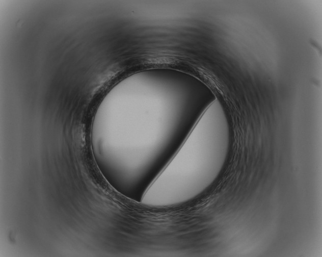 X0000092070731200709121025