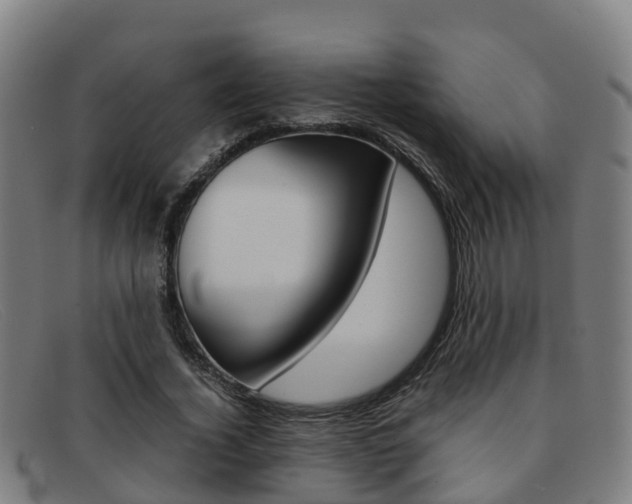 X0000092070732200709121025