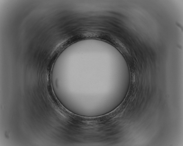 X0000092070733200709121025