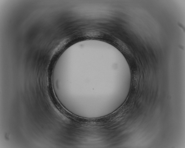 X0000092070734200709121025