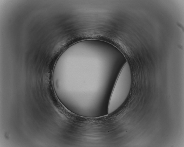 X0000092070736200709121025