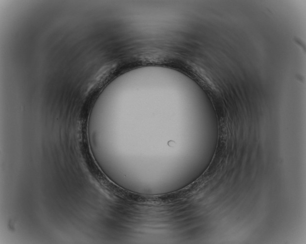 X0000092070738200709121025
