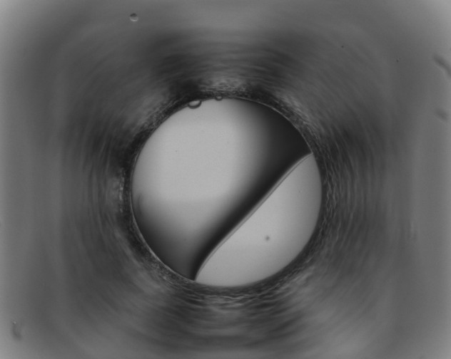 X0000092070739200709121025