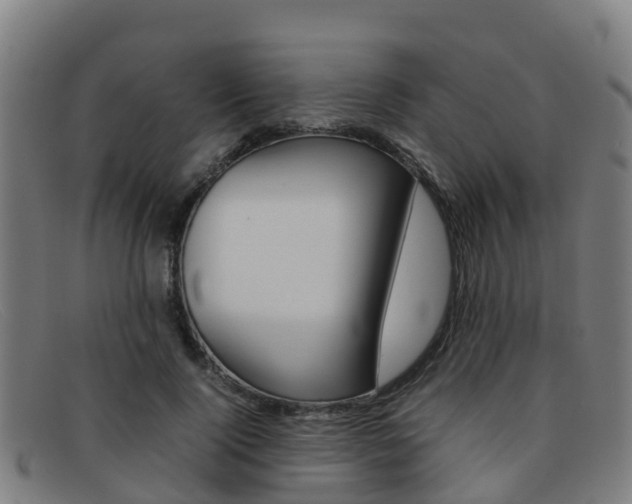 X0000092070740200709121025