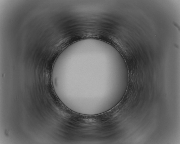 X0000092070741200709121025