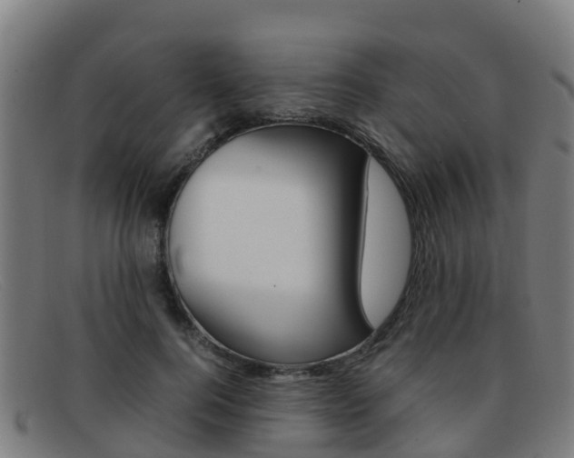 X0000092070744200709121025