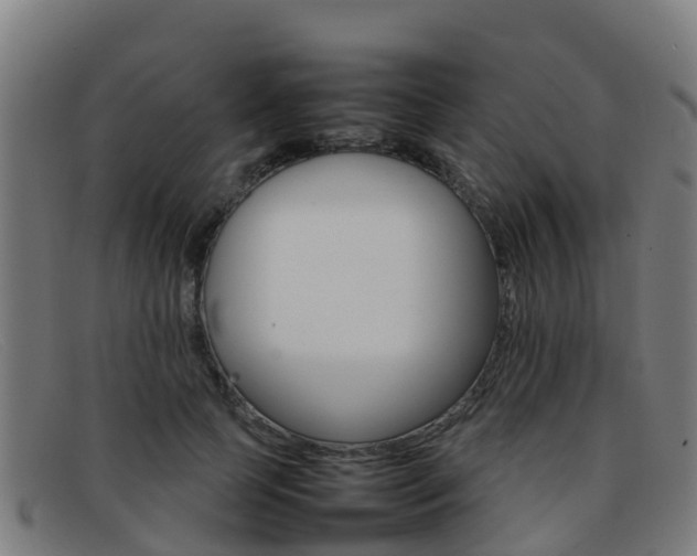 X0000092070745200709121025