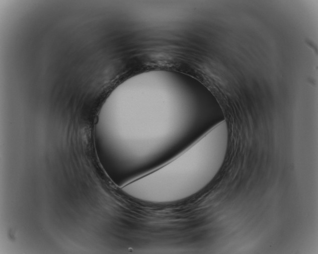 X0000092070747200709121025