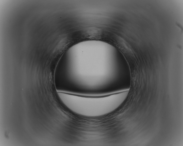 X0000092070748200709121025