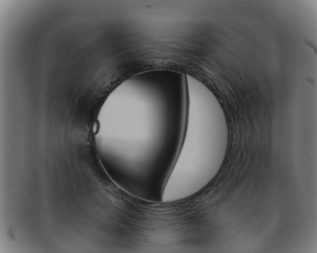 X0000092070750200709121025