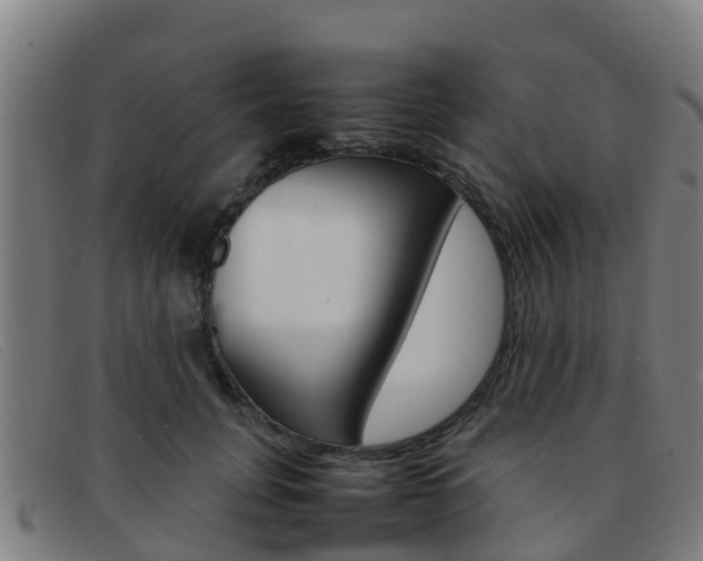 X0000092070751200709121025