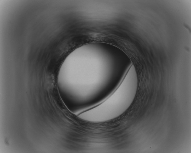 X0000092070752200709121025