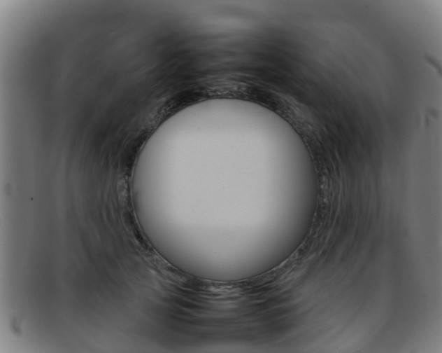 X0000092070753200709121025