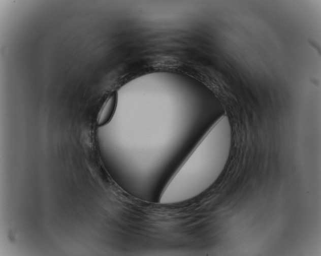 X0000092070755200709121025