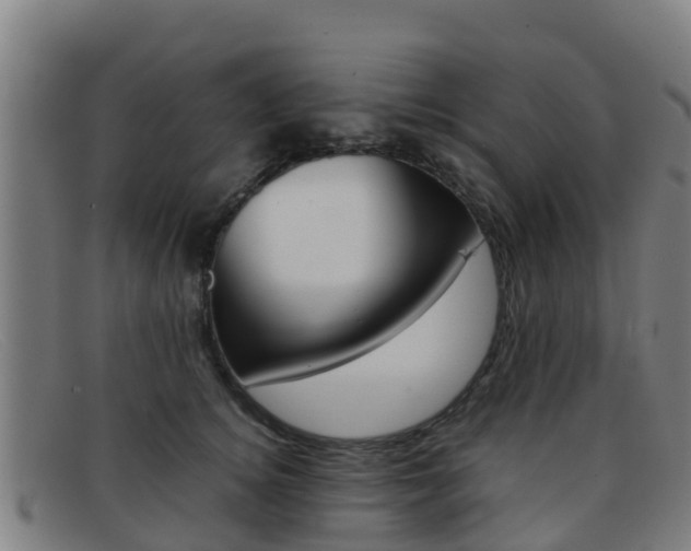 X0000092070756200709121025
