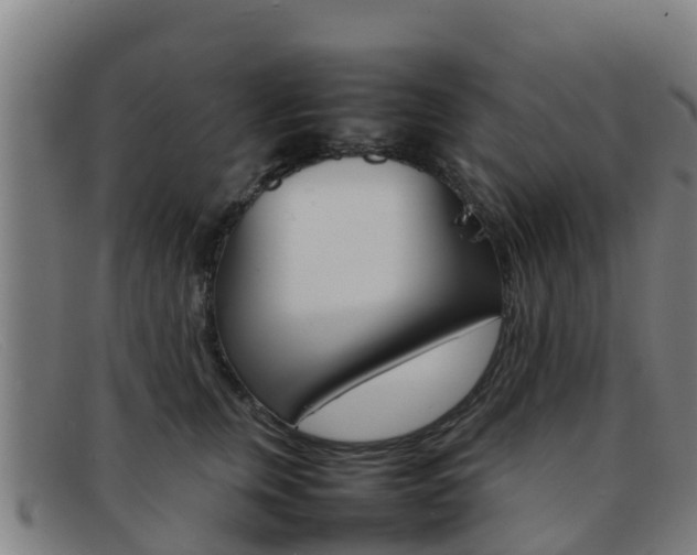 X0000092070759200709121025