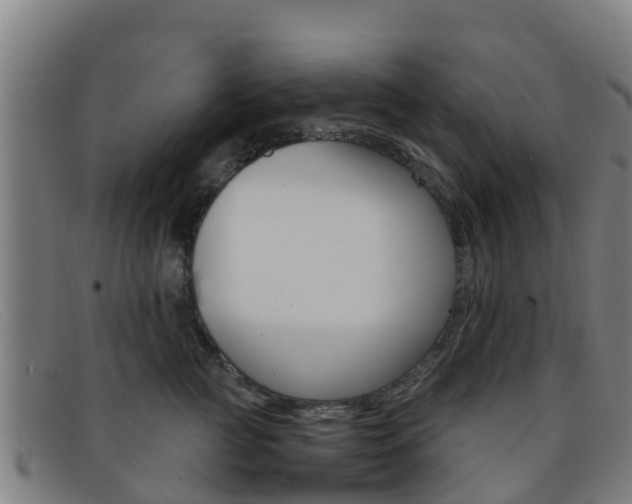 X0000092070761200709121025