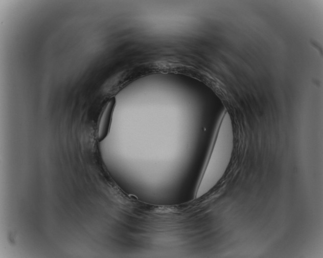 X0000092070762200709121025