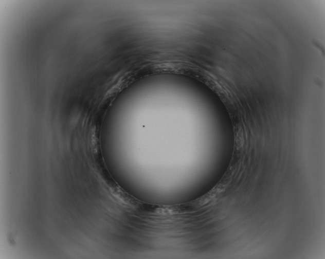 X0000092070764200709121025