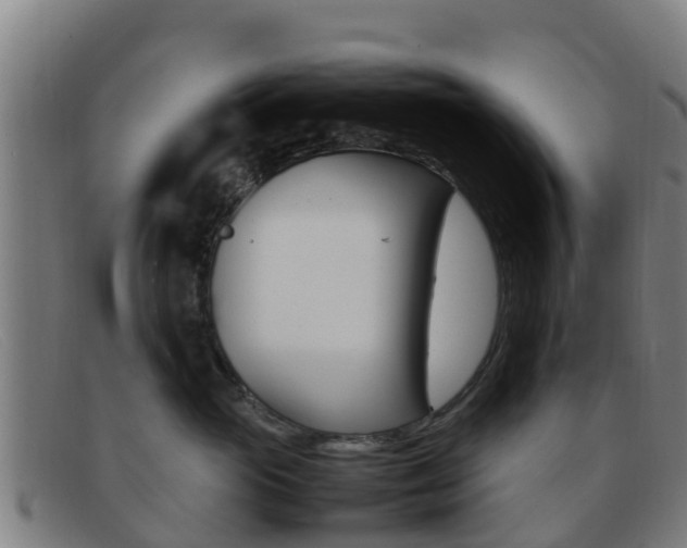 X0000092070765200709121026