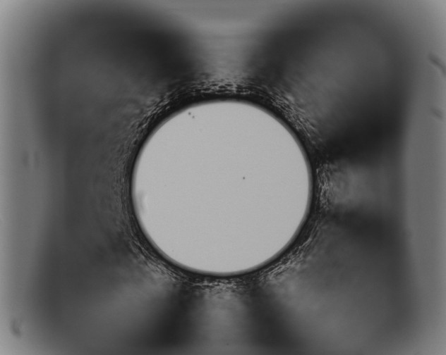 X0000092070769200709121025
