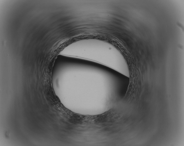 X0000092070773200709121025