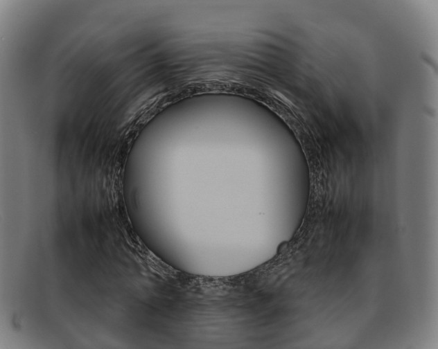 X0000092070774200709121025
