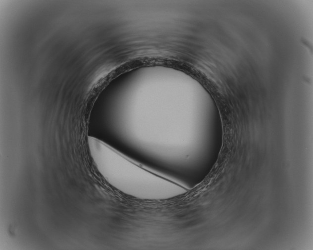 X0000092070775200709121025