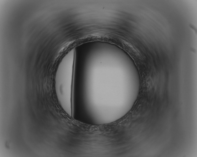 X0000092070776200709121025