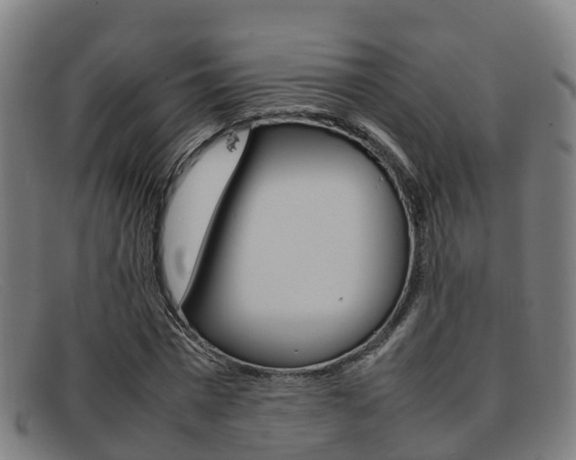 X0000092070777200709121025